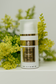Q10 Liposomes Gel pour les yeux