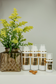 Q10 intensive Florasomes masque crème